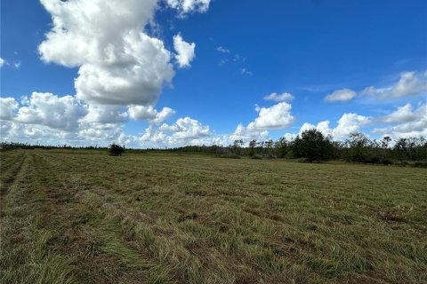 Land in Myakka City, Florida № 1444291 - photo 6