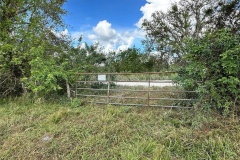 Land in Myakka City, Florida № 1444291 - photo 5