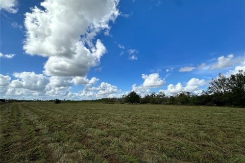 Land in Myakka City, Florida № 1444291 - photo 7