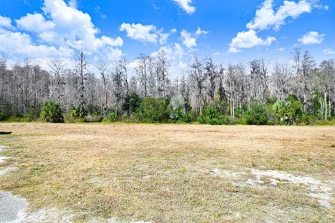 Terreno en venta en Lutz, Florida № 2097490 - foto 12