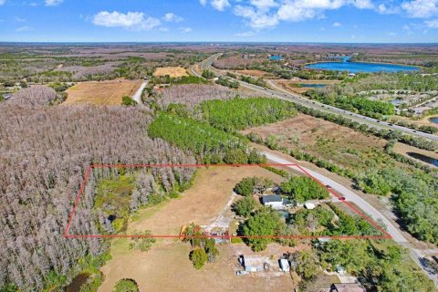 Terreno en venta en Lutz, Florida № 2097490 - foto 2
