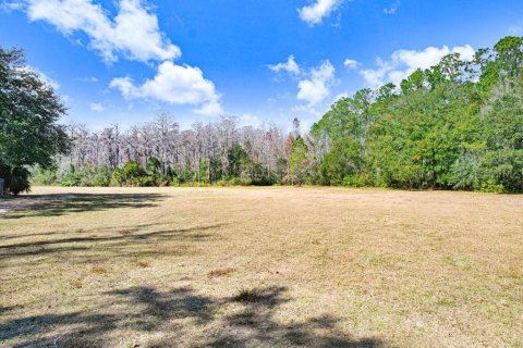 Terreno en venta en Lutz, Florida № 2097490 - foto 9