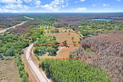 Terreno en venta en Lutz, Florida № 2097490 - foto 5