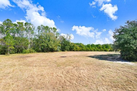 Terreno en venta en Lutz, Florida № 2097490 - foto 10