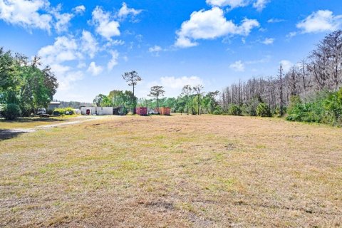 Terreno en venta en Lutz, Florida № 2097490 - foto 11
