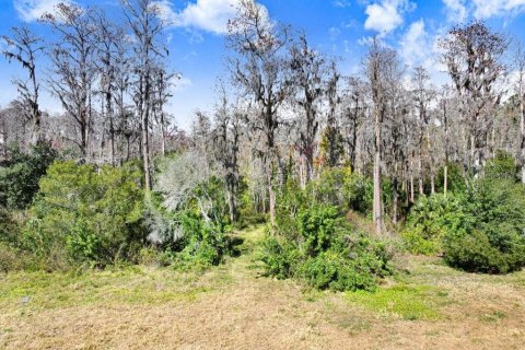 Terreno en venta en Lutz, Florida № 2097490 - foto 14