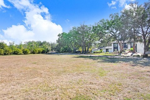 Terreno en venta en Lutz, Florida № 2097490 - foto 8