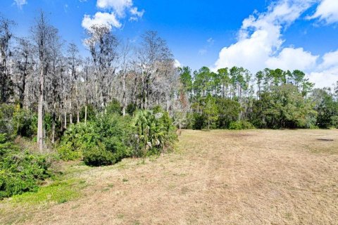 Terreno en venta en Lutz, Florida № 2097490 - foto 13
