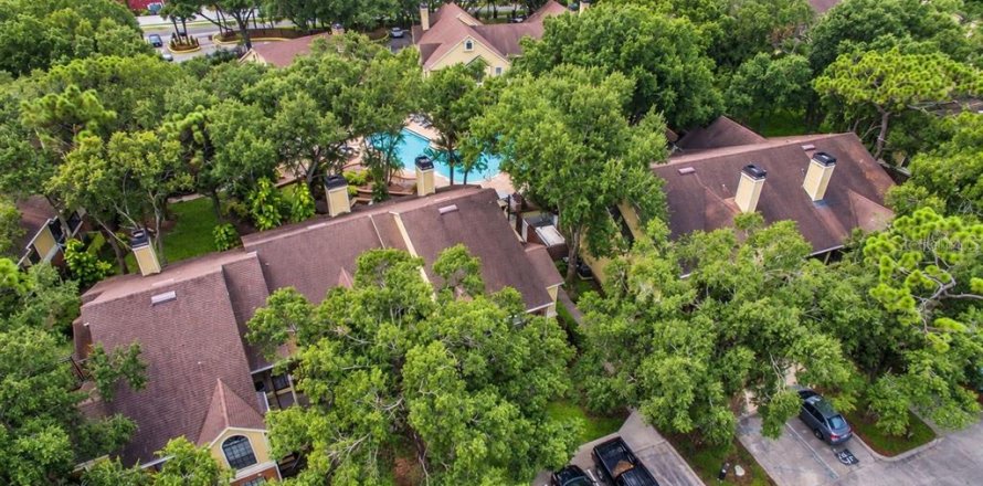 Condo à Tampa, Floride, 1 chambre  № 2391737