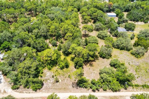 Land in Lecanto, Florida № 1783515 - photo 23