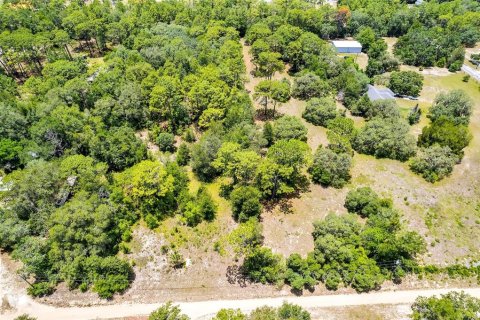 Land in Lecanto, Florida № 1783515 - photo 20