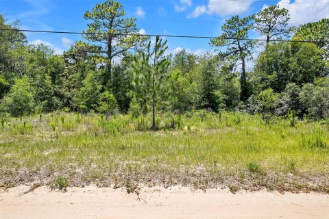 Land in Lecanto, Florida № 1783515 - photo 1