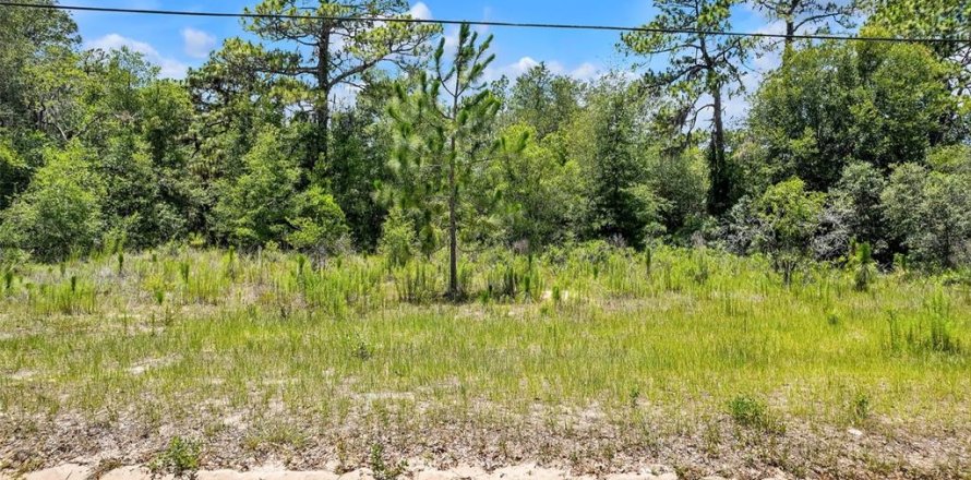 Land in Lecanto, Florida № 1783515