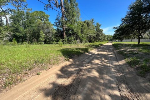 Land in Lecanto, Florida № 1783515 - photo 13