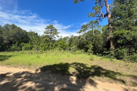 Land in Lecanto, Florida № 1783515 - photo 8