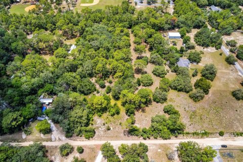 Land in Lecanto, Florida № 1783515 - photo 22