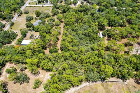 Land in Lecanto, Florida № 1783515 - photo 21