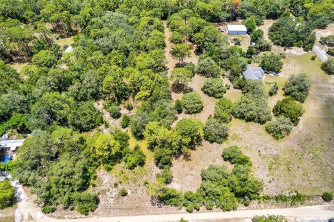 Land in Lecanto, Florida № 1783515 - photo 19