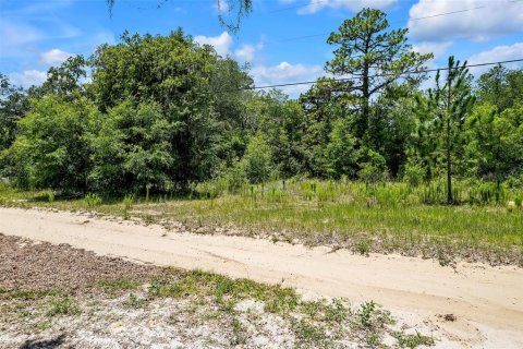 Land in Lecanto, Florida № 1783515 - photo 5