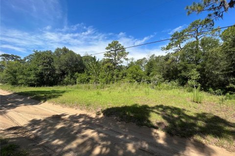 Land in Lecanto, Florida № 1783515 - photo 9