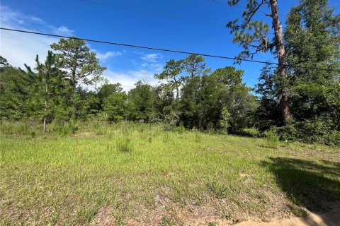 Land in Lecanto, Florida № 1783515 - photo 10