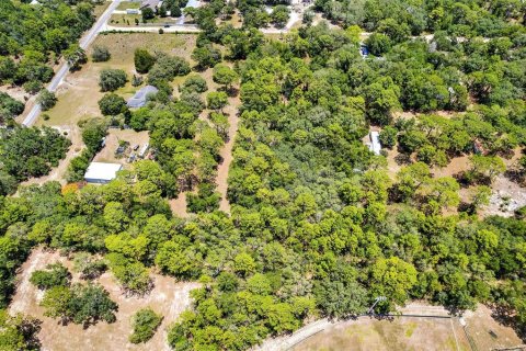 Land in Lecanto, Florida № 1783515 - photo 26