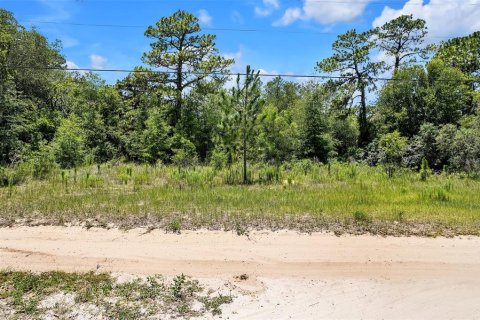 Land in Lecanto, Florida № 1783515 - photo 3