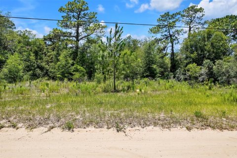 Land in Lecanto, Florida № 1783515 - photo 2