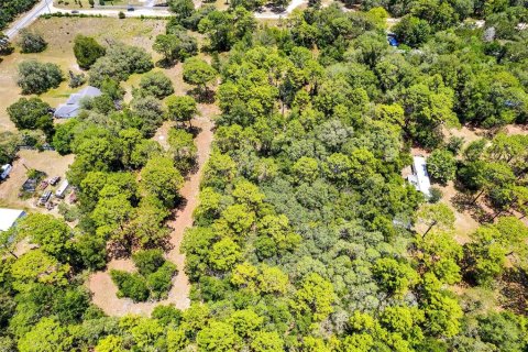 Land in Lecanto, Florida № 1783515 - photo 25