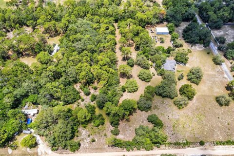 Land in Lecanto, Florida № 1783515 - photo 15