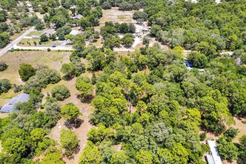 Land in Lecanto, Florida № 1783515 - photo 24