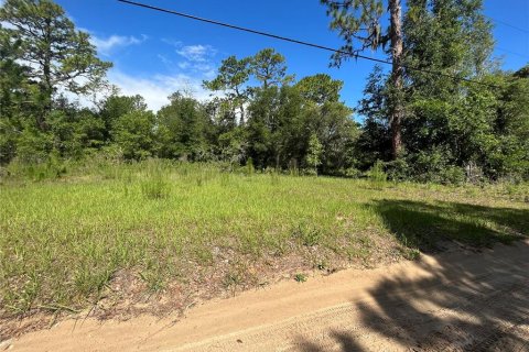 Land in Lecanto, Florida № 1783515 - photo 12