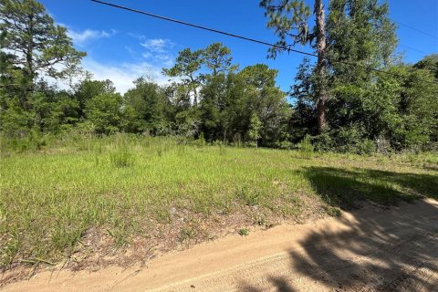 Land in Lecanto, Florida № 1783515 - photo 11