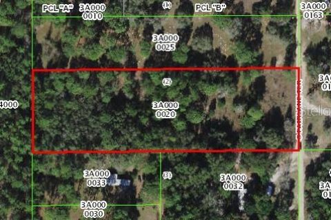 Land in Lecanto, Florida № 1783515 - photo 27