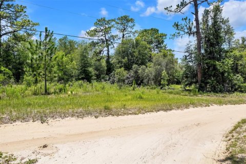 Land in Lecanto, Florida № 1783515 - photo 4