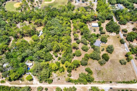 Land in Lecanto, Florida № 1783515 - photo 17