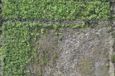 Terreno en venta en Homestead, Florida № 2082846 - foto 24