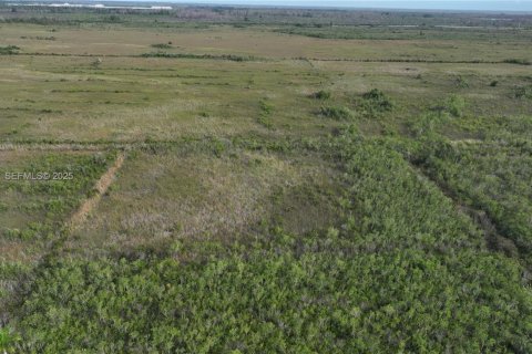 Terreno en venta en Homestead, Florida № 2082846 - foto 17