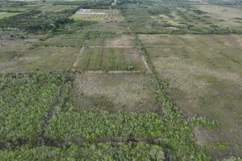 Terreno en venta en Homestead, Florida № 2082846 - foto 3