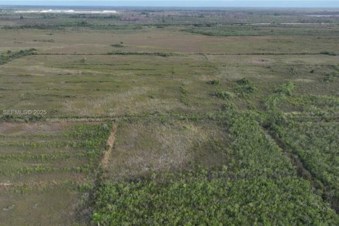Terreno en venta en Homestead, Florida № 2082846 - foto 6