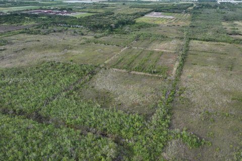 Terreno en venta en Homestead, Florida № 2082846 - foto 2