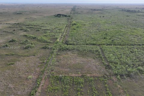Terreno en venta en Homestead, Florida № 2082846 - foto 8