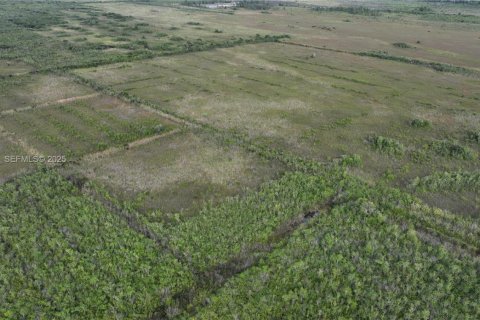 Terreno en venta en Homestead, Florida № 2082846 - foto 5