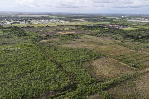 Terreno en venta en Homestead, Florida № 2082846 - foto 25