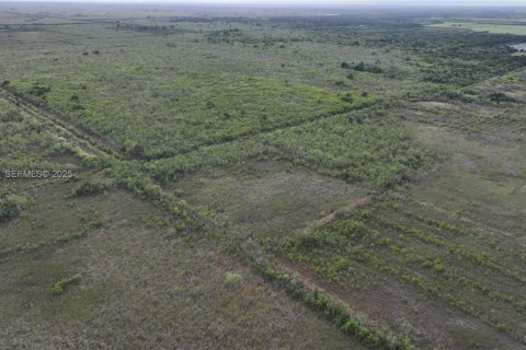 Terreno en venta en Homestead, Florida № 2082846 - foto 10