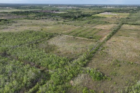Terreno en venta en Homestead, Florida № 2082846 - foto 14