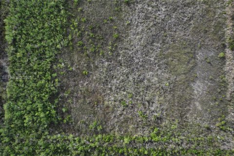 Terreno en venta en Homestead, Florida № 2082846 - foto 23