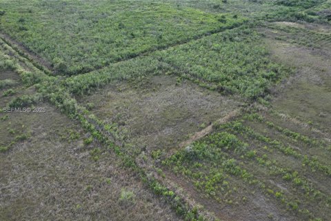 Terreno en venta en Homestead, Florida № 2082846 - foto 9