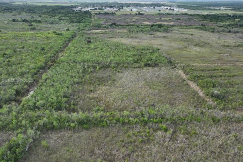 Terreno en venta en Homestead, Florida № 2082846 - foto 21