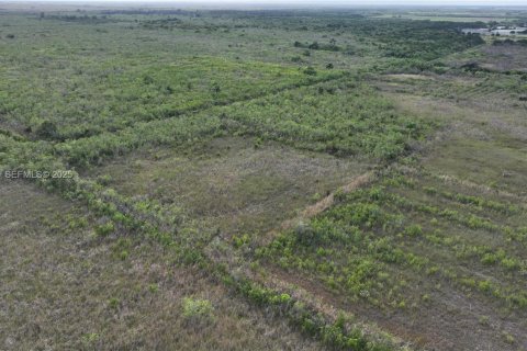 Terreno en venta en Homestead, Florida № 2082846 - foto 20